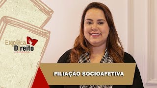 Explica Direito Filiação Socioafetiva  2019 [upl. by Ramon]